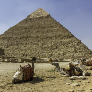 Private Day Tour Visiting Giza Pyramids and Grand Egyptian Museum